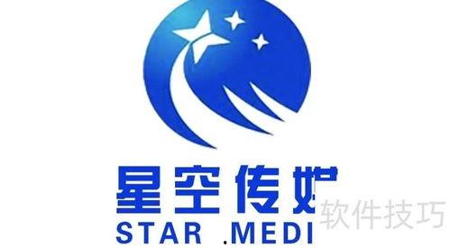 国产传媒公司