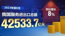 国产观看在线